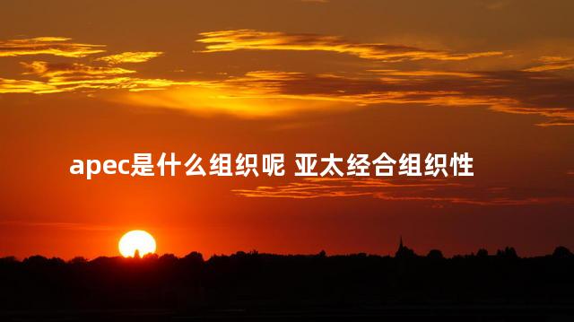 apec是什么组织呢 亚太经合组织性质